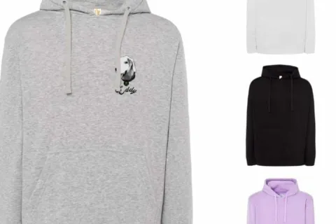 Open day Canile comunale Stefano Cerni