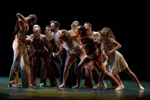 MM Contemporary Dance Company