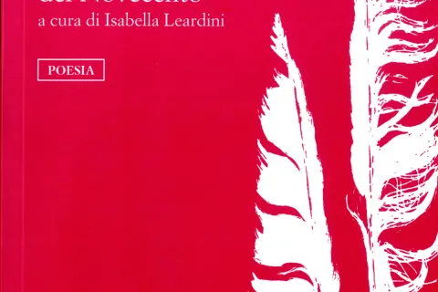 copertina costellazione parallela
