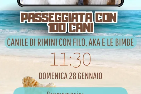 Locandina Capriotti e Aka