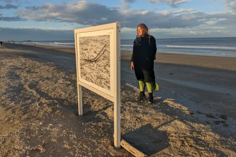 mostra l'altra stagione - rimini 