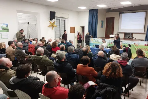 presentazione nuovo piano dell'arenile