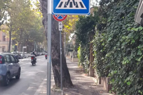 videosorveglianza tramite fototrappole