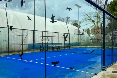 barriere anticollisione volatili