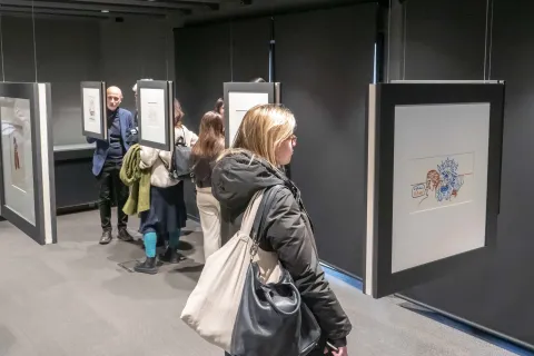 lilian the fighter mostra fulgor