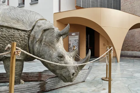 Ingresso Palazzo del Fulgor