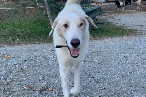 Eddy cattura i cuori di Rimini