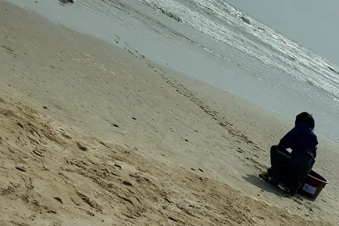 Giornata del mare e della cultura marinara 2024