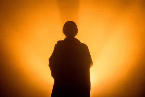 Supernova 2024- madalena reversa