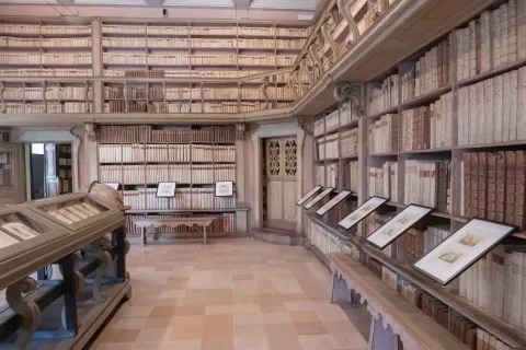 Biennale del Disegno