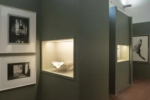 Biennale del Disegno