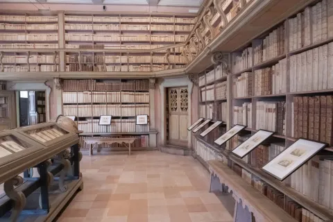 Biennale del disegno