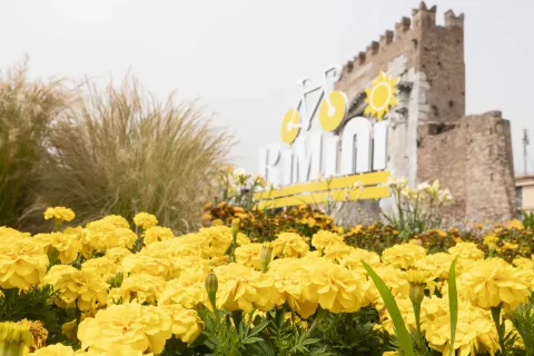 tour de france rimini