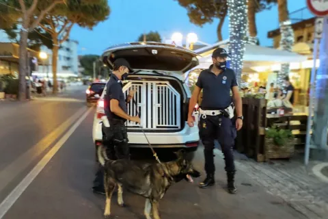 unità cinofile della Polizia Locale
