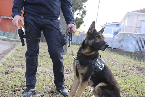 unità cinofile della Polizia Locale