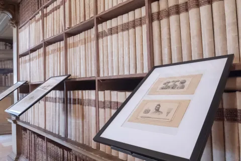 Biennale del Disegno Rimini 2024