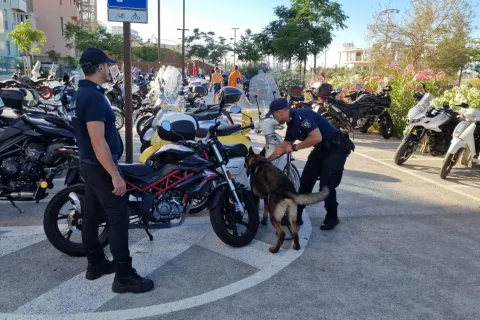 unità cinofila operativa a marina centro