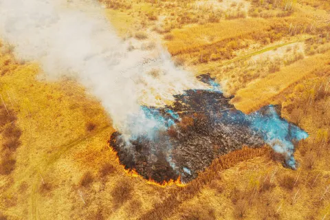 Spettacolo "La calda estate"