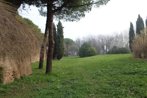 parco cervi