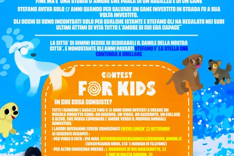 Locandina Ricordando Stefano Cerni