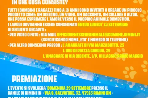 Locandina Ricordando Stefano Cerni