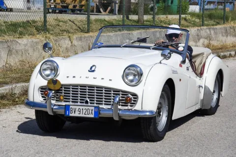 tutti gli appuntamenti in città fino al 17 settembre 2024