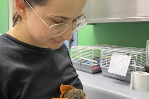 4 ottobre, giornata mondiale degli animal