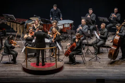 wunderkammer orchestra