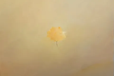 Il senso del tempo - Maurizio Minarini