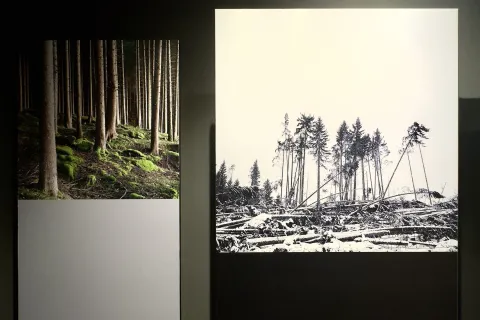 mostra “Segni e suoni di Vaia”