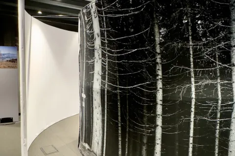 mostra “Segni e suoni di Vaia”