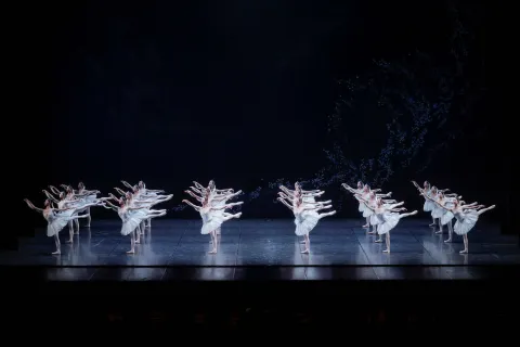 bayadere