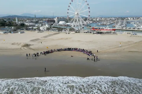 liberazione tartaruga spiaggia