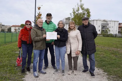 giornata dell'albero 2024