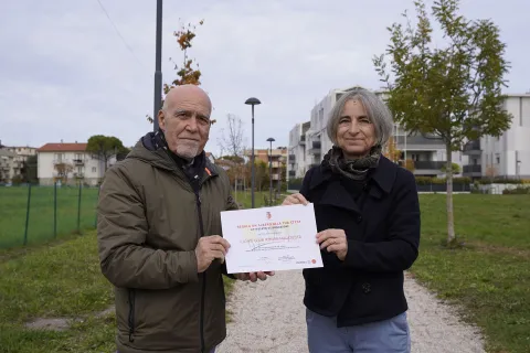 giornata dell'albero 2024