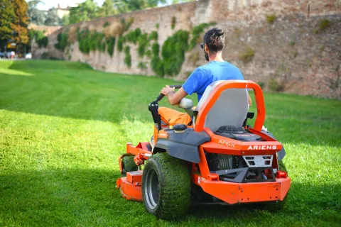 Manutenzione e cura del verde pubblico