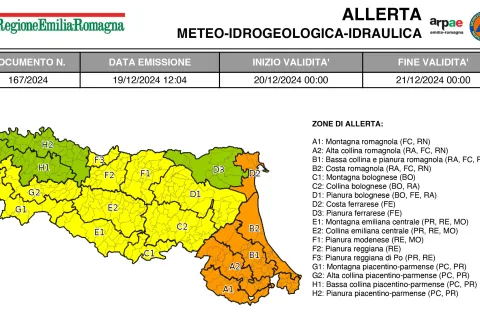 allerta n. 167/2024