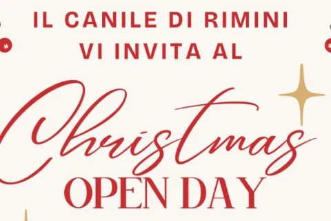 Open day natalizio 14 dicembre 2024