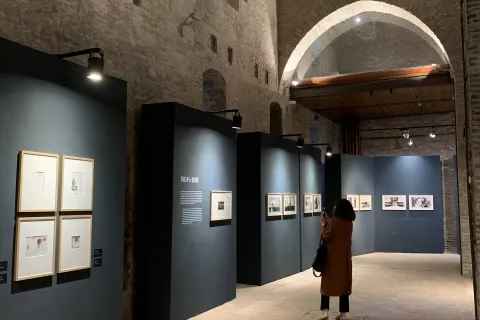 mostra lynch fellini