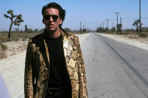 film cuore selvaggio