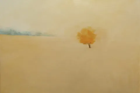 minarini, albero giallo