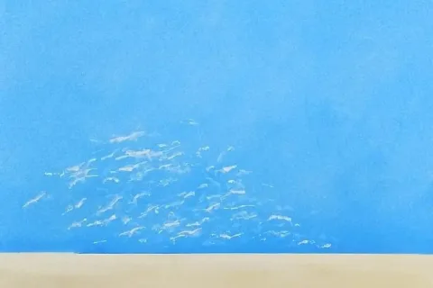 opera di Maurizio Minarini