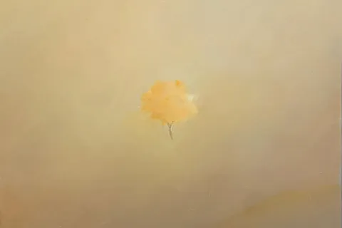 opera di Maurizio Minarini