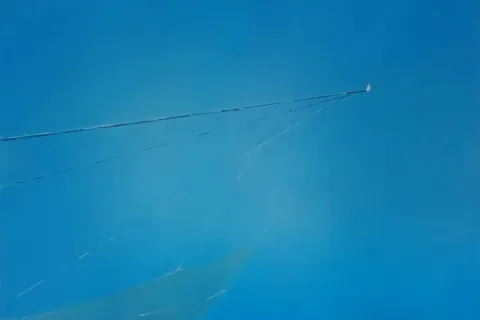 opera di Maurizio Minarini