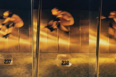 mostre di primavera a Rimini - motus