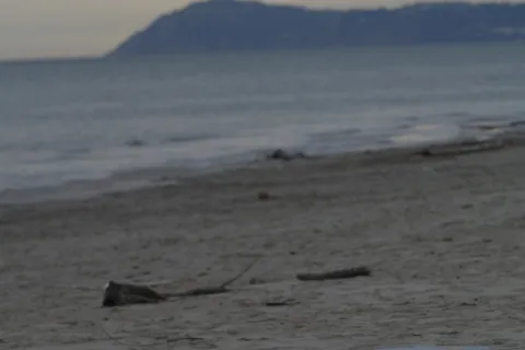 Terzo premio: Maurizio Bonora