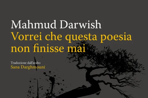 vorrei che questa poesia non finisse mai