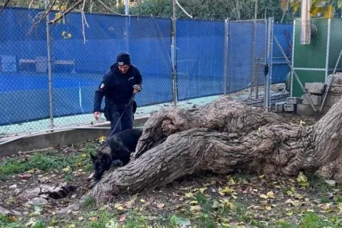 polizia locale controllo parchi
