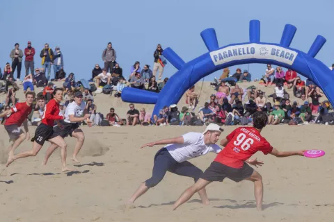 Paganello sulla spiaggia