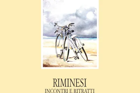 copertina libro masini, riminesi
